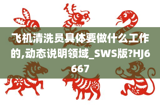 飞机清洗员具体要做什么工作的,动态说明领域_SWS版?HJ6667