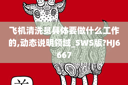 飞机清洗员具体要做什么工作的,动态说明领域_SWS版?HJ6667