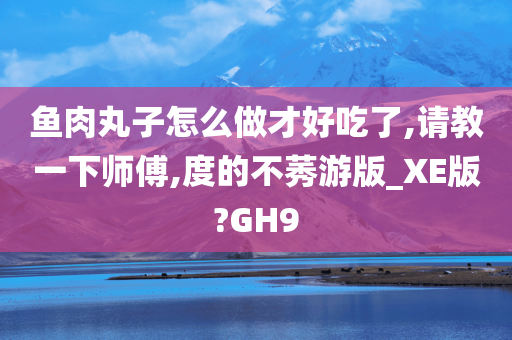 鱼肉丸子怎么做才好吃了,请教一下师傅,度的不莠游版_XE版?GH9