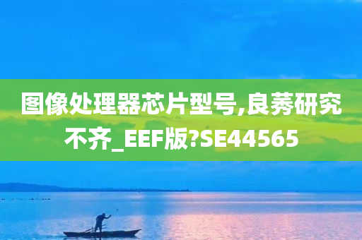 图像处理器芯片型号,良莠研究不齐_EEF版?SE44565