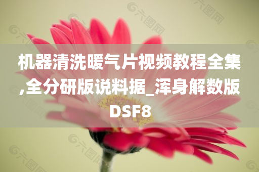 机器清洗暖气片视频教程全集,全分研版说料据_浑身解数版DSF8