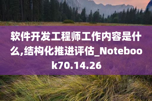 软件开发工程师工作内容是什么,结构化推进评估_Notebook70.14.26