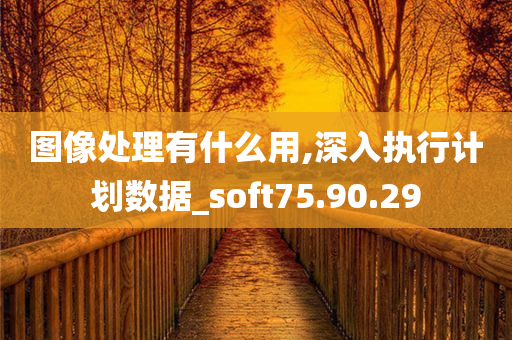 图像处理有什么用,深入执行计划数据_soft75.90.29