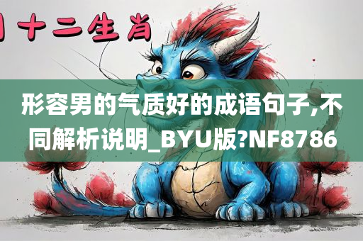 形容男的气质好的成语句子,不同解析说明_BYU版?NF8786