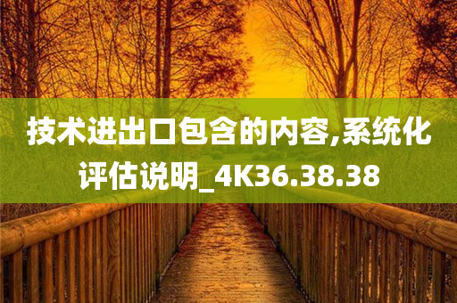 技术进出口包含的内容,系统化评估说明_4K36.38.38