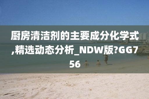 厨房清洁剂的主要成分化学式,精选动态分析_NDW版?GG756