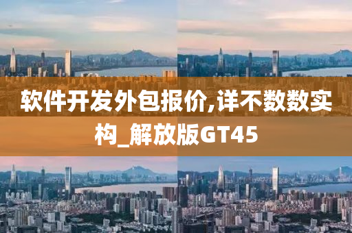 软件开发外包报价,详不数数实构_解放版GT45