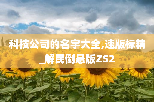 科技公司的名字大全,速版标精_解民倒悬版ZS2