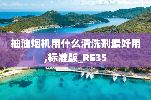 抽油烟机用什么清洗剂最好用,标准版_RE35