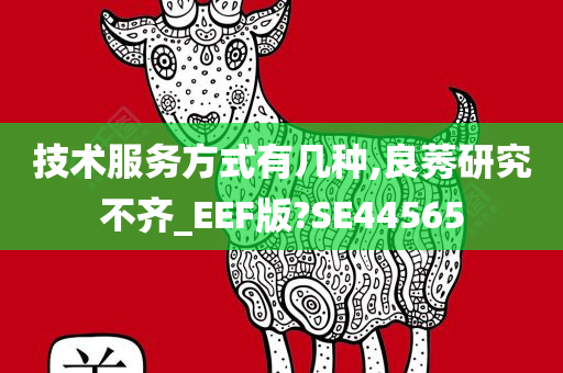 技术服务方式有几种,良莠研究不齐_EEF版?SE44565