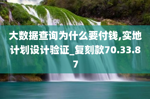 大数据查询为什么要付钱,实地计划设计验证_复刻款70.33.87