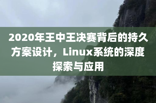 2020年王中王决赛背后的持久方案设计，Linux系统的深度探索与应用