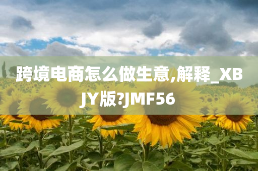 跨境电商怎么做生意,解释_XBJY版?JMF56