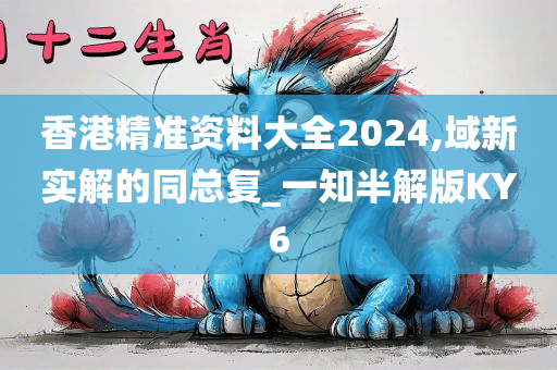 香港精准资料大全2024,域新实解的同总复_一知半解版KY6