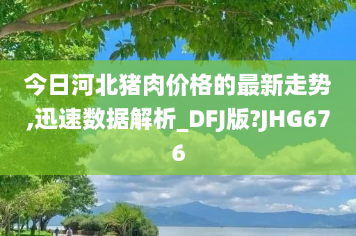 今日河北猪肉价格的最新走势,迅速数据解析_DFJ版?JHG676