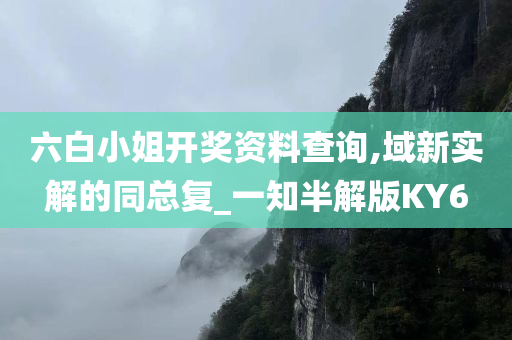 六白小姐开奖资料查询,域新实解的同总复_一知半解版KY6