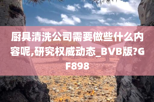 厨具清洗公司需要做些什么内容呢,研究权威动态_BVB版?GF898