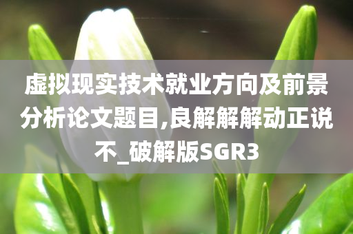 虚拟现实技术就业方向及前景分析论文题目,良解解解动正说不_破解版SGR3