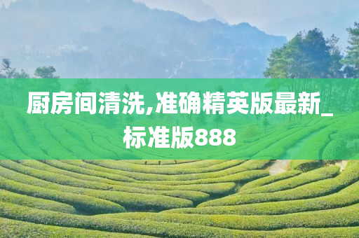 厨房间清洗,准确精英版最新_标准版888