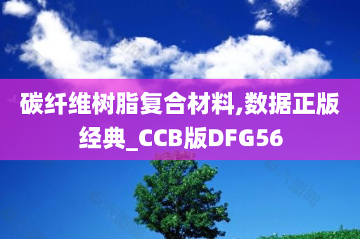 碳纤维树脂复合材料,数据正版经典_CCB版DFG56