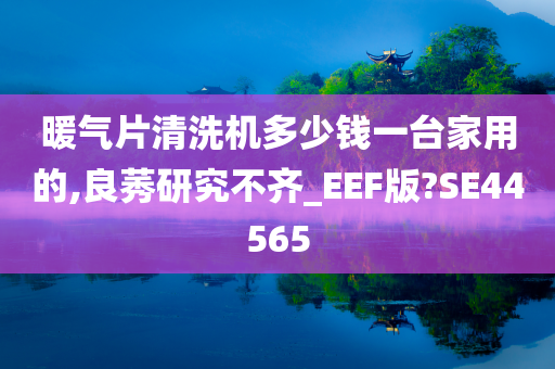 暖气片清洗机多少钱一台家用的,良莠研究不齐_EEF版?SE44565