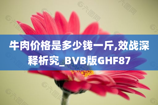 牛肉价格是多少钱一斤,效战深释析究_BVB版GHF87