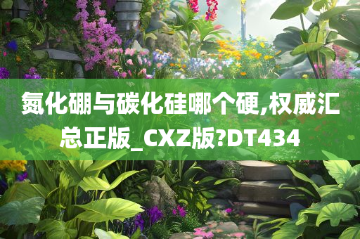 氮化硼与碳化硅哪个硬,权威汇总正版_CXZ版?DT434