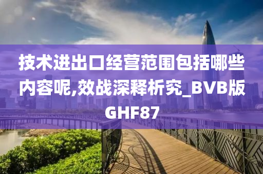 技术进出口经营范围包括哪些内容呢,效战深释析究_BVB版GHF87