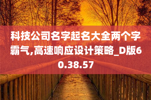 科技公司名字起名大全两个字霸气,高速响应设计策略_D版60.38.57