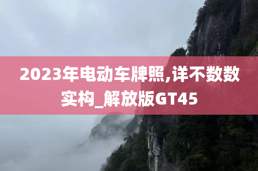 2023年电动车牌照,详不数数实构_解放版GT45