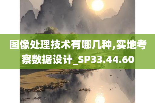 图像处理技术有哪几种,实地考察数据设计_SP33.44.60