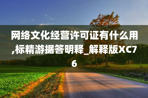 网络文化经营许可证有什么用,标精游据答明释_解释版XC76