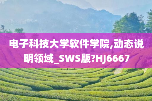 电子科技大学软件学院,动态说明领域_SWS版?HJ6667