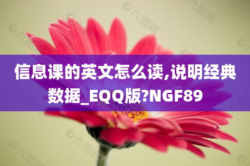 信息课的英文怎么读,说明经典数据_EQQ版?NGF89