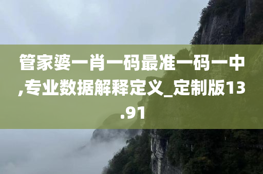 管家婆一肖一码最准一码一中,专业数据解释定义_定制版13.91