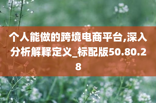 个人能做的跨境电商平台,深入分析解释定义_标配版50.80.28