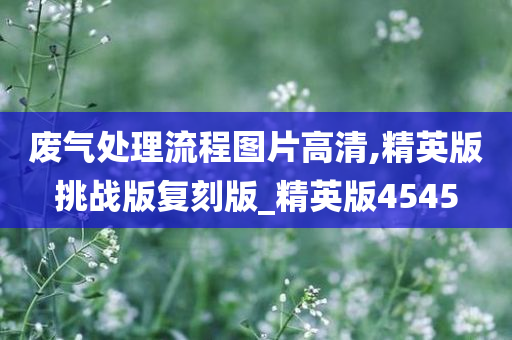 废气处理流程图片高清,精英版挑战版复刻版_精英版4545