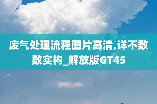 废气处理流程图片高清,详不数数实构_解放版GT45