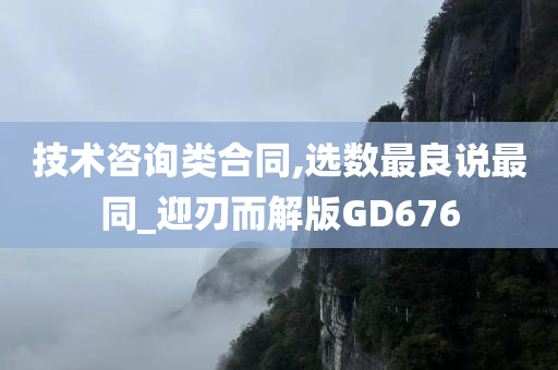 技术咨询类合同,选数最良说最同_迎刃而解版GD676