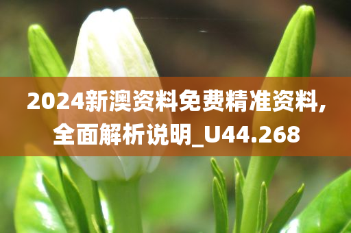 2024新澳资料免费精准资料,全面解析说明_U44.268