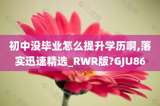 初中没毕业怎么提升学历啊,落实迅速精选_RWR版?GJU86