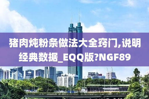 猪肉炖粉条做法大全窍门,说明经典数据_EQQ版?NGF89