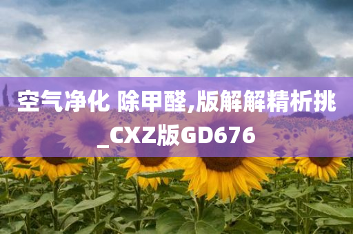 空气净化 除甲醛,版解解精析挑_CXZ版GD676