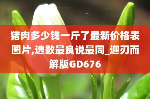 猪肉多少钱一斤了最新价格表图片,选数最良说最同_迎刃而解版GD676