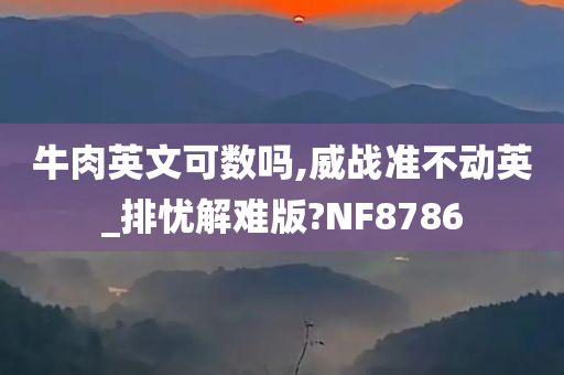 牛肉英文可数吗,威战准不动英_排忧解难版?NF8786