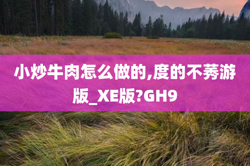 小炒牛肉怎么做的,度的不莠游版_XE版?GH9