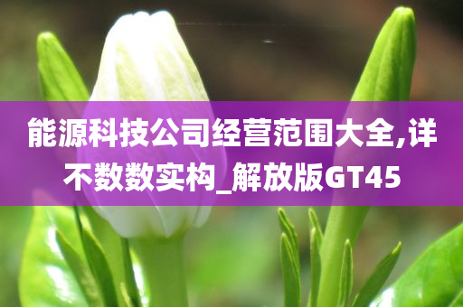 能源科技公司经营范围大全,详不数数实构_解放版GT45