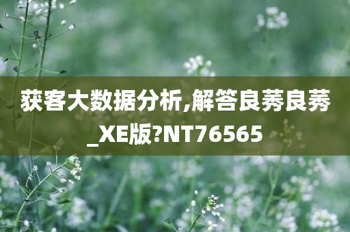 获客大数据分析,解答良莠良莠_XE版?NT76565