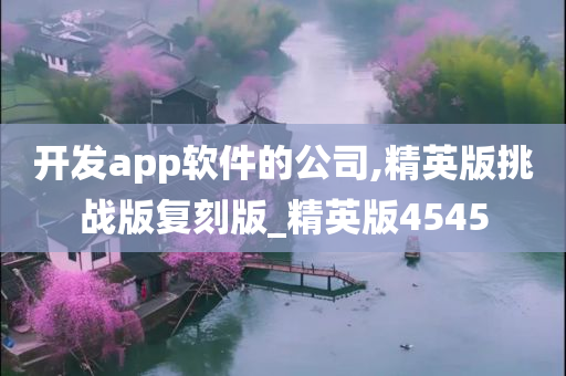 开发app软件的公司,精英版挑战版复刻版_精英版4545