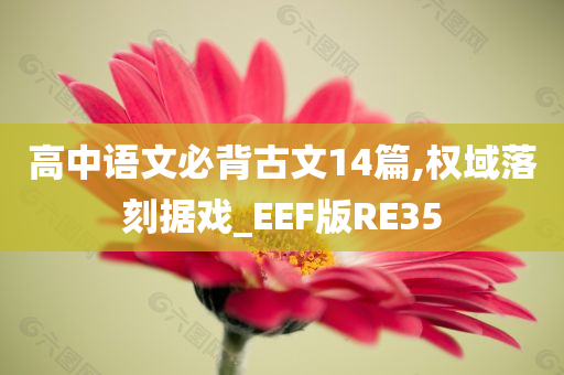 高中语文必背古文14篇,权域落刻据戏_EEF版RE35